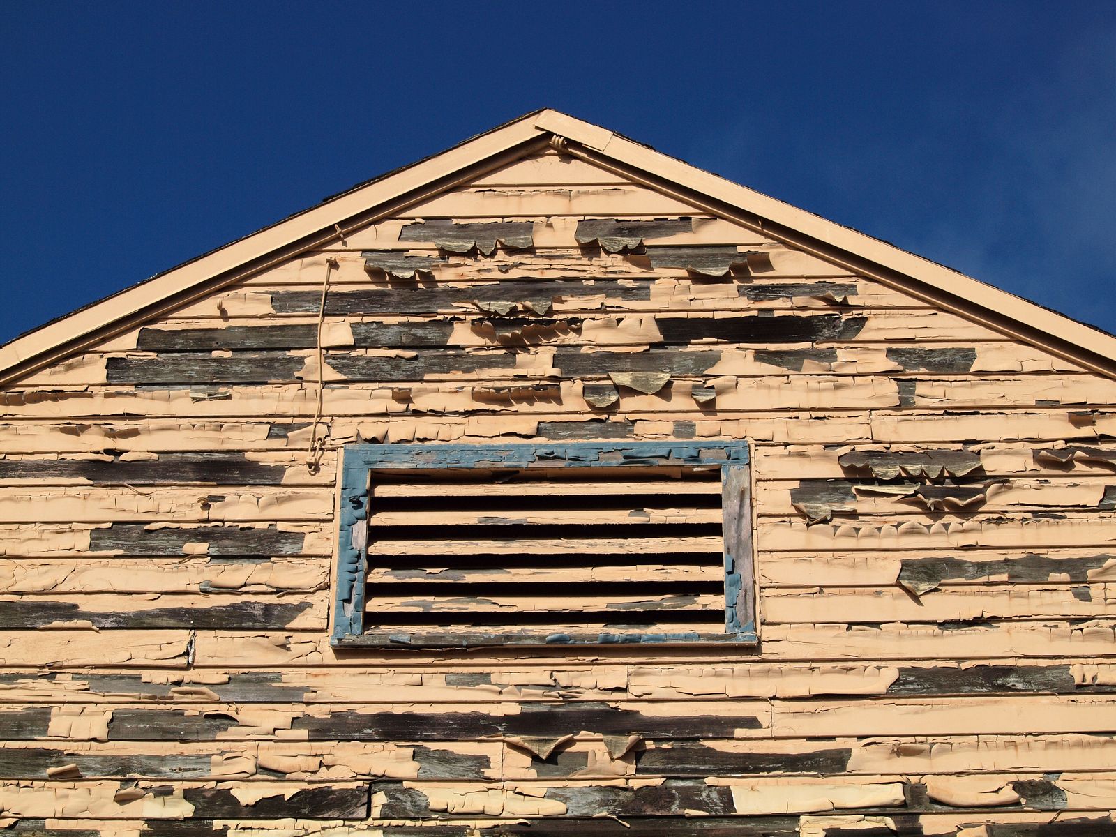 Gable end of an older wood-sided house against a deep blue sky, tan paint peeling away from the clapboards in curled sheets to expose weathered gray wood around a blue-framed attic vent