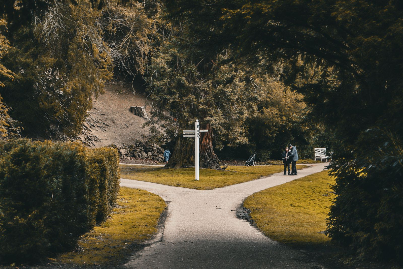A paved park path splitting into two branches around a white wooden signpost, with clipped hedges and evergreen trees on either side and a couple walking one of the branches